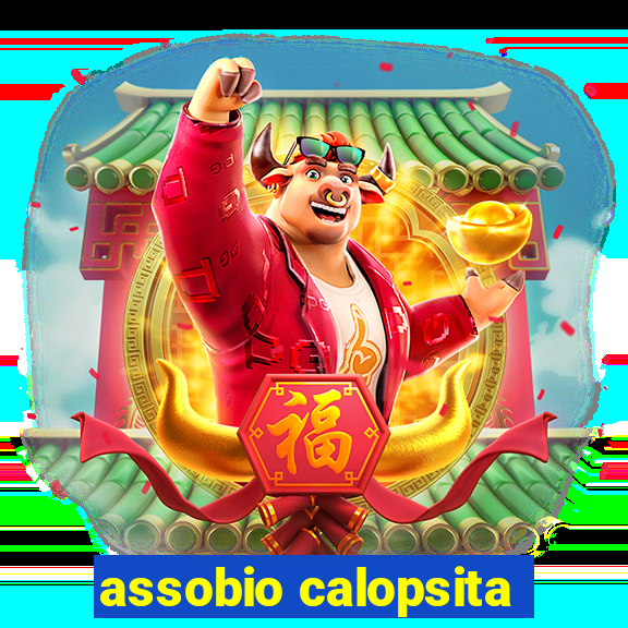 assobio calopsita